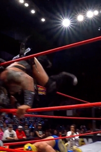 wowcollision20250104_00_04_32_15_Still410.jpg