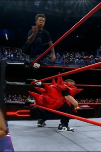 wowcollision20250118_00_02_33_05_Still133.jpg