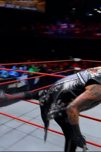 wowcollision20250118_00_03_55_00_Still202.jpg