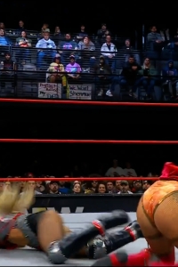 wowcollision20250118_00_04_16_05_Still256.jpg