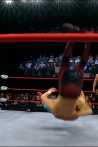 wowcollision20250118_00_04_59_25_Still393.jpg
