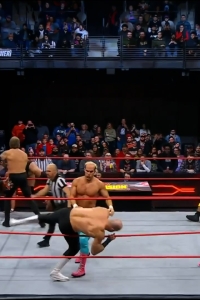 wowcollision20250118_00_05_01_05_Still399.jpg