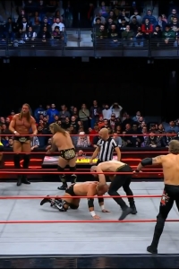wowcollision20250118_00_05_15_15_Still415.jpg