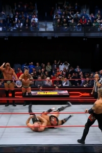 wowcollision20250118_00_05_16_00_Still416.jpg