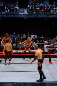 wowcollision20250118_00_05_17_05_Still419.jpg