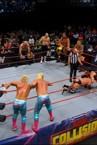 wowcollision20250118_00_05_18_05_Still421.jpg