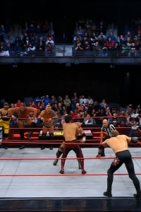 wowcollision20250118_00_05_19_25_Still428.jpg