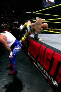 wowimpact20250109_00_00_27_20_Still051.jpg