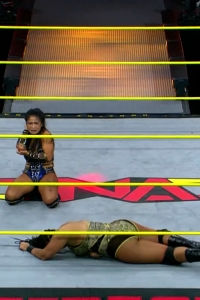 wowimpact20250109_00_01_43_10_Still200.jpg