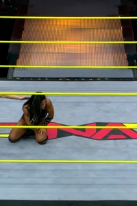 wowimpact20250109_00_01_43_20_Still202.jpg