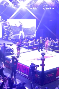 wowimpact20250109_00_04_38_20_Still412.jpg