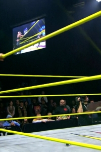 wowimpact20250116_00_05_14_15_Still330.jpg