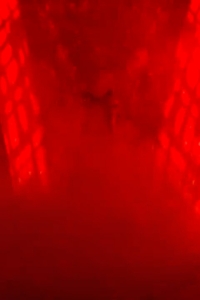 wownxt20250107_00_01_07_20_Still269.jpg