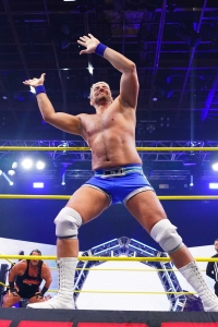 TNAiMPACT2502_Rhino_JoeHendry_vs_TheNemethBros-WM-7.jpg
