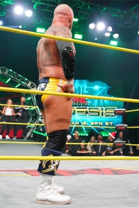 TNAiMPACT2503_FIRTCLA_vs_EricYoung_SteveMaclin_TheSystem-WM-35.jpg