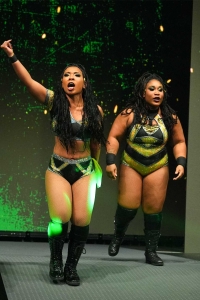 TNAiMPACT2507_KingBees_vs_AshByElegance_HeatherByElegance-WM-1.jpg