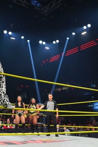 TNAiMPACT2507_KingBees_vs_AshByElegance_HeatherByElegance-WM-10.jpg