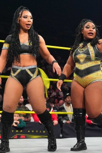 TNAiMPACT2507_KingBees_vs_AshByElegance_HeatherByElegance-WM-12.jpg