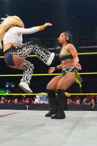 TNAiMPACT2507_KingBees_vs_AshByElegance_HeatherByElegance-WM-13.jpg