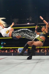 TNAiMPACT2507_KingBees_vs_AshByElegance_HeatherByElegance-WM-14.jpg