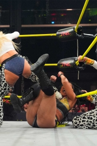 TNAiMPACT2507_KingBees_vs_AshByElegance_HeatherByElegance-WM-15.jpg
