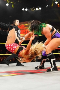 TNAiMPACT2509_AshByElegance_HeatherByElegance_vs_Spitfire-WM-18.jpg