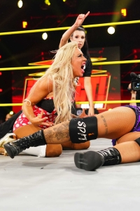 TNAiMPACT2509_AshByElegance_HeatherByElegance_vs_Spitfire-WM-22.jpg