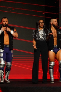 TNAiMPACT2514_TheHardys_vs_TheGreatHands_w-_TashaSteelz_SantinoMarella-WM-22.jpg