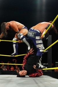 TNAiMPACT2514_TheHardys_vs_TheGreatHands_w-_TashaSteelz_SantinoMarella-WM-39.jpg