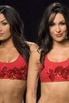 nikki-and-brie-bella-wwe-studio-10.jpg