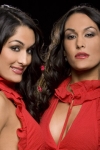 nikki-and-brie-bella-wwe-studio-11.jpg