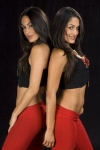 nikki-and-brie-bella-wwe-studio-3.jpg