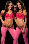 nikki-and-brie-bella-wwe-studio-5.jpg