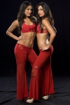 nikki-and-brie-bella-wwe-studio-6.jpg