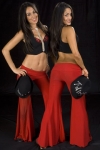 nikki-and-brie-bella-wwe-studio-7.jpg