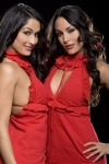 nikki-and-brie-bella-wwe-studio-8.jpg