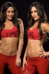 nikki-and-brie-bella-wwe-studio-9.jpg